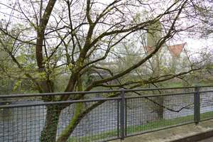 Privatverkauf - Erlesene 3 Zimmer Altbauwohnung an der Enz – Pflügerstraße 34, 75175 Au, Pforzheim – Vorschaubild 14