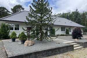 Sehr gepflegter Bungalow in Waldrandlage von Kreuzau, OT Langenbroich – Waldstraße 11, 52372 Düren (Kreis) – Vorschaubild 2