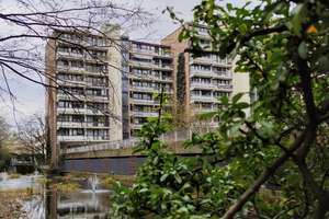 Property thumbnail 12