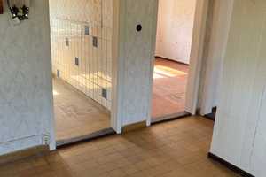 Doppelhaushälfte sucht Handwerker – Demmin (Kreis) – Vorschaubild 5