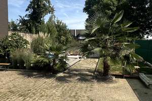 Kleines feines Einfamilienhaus in ruhiger Lage von MG-Odenkirchen ! – Kohrbleiche 19, 41199 Odenkirchen-Mitte, Mönchengladbach – Vorschaubild 21