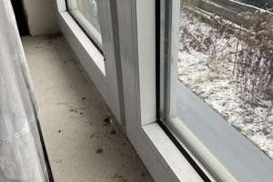 Doppelhaus mit Garagengebäude – Die vollständige Adresse der Immobilie erhältst du vom Anbieter., 31162 Bad Salzdetfurth – Vorschaubild 4