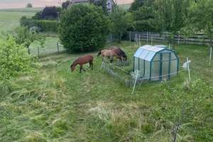 Provisionsfrei* Wohnen wie im Urlaub - Traumhaus im Biosphärenreservat Rhön – Die vollständige Adresse der Immobilie erhältst du vom Anbieter., 36163 Poppenhausen (Wasserkuppe) – Vorschaubild 11