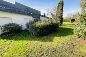In einzigartiger Waldrandlage im Villenviertel von Bad Rappenau das 1-2 Familienhaus + Gewerbeanteil – Heilbronn (Kreis) – Vorschaubild 5