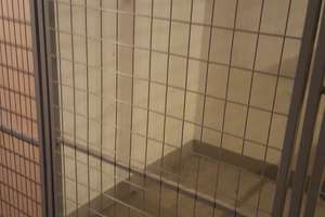 Gepflegte 1-Zimmer-Wohnung in Heidelberg. Ihr neues Zuhause. – Karlsruher Straße 130, 69126 Rohrbach, Heidelberg – Vorschaubild 25