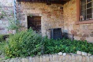 Sanierter Winzerhof in Kirchheim! – Hintergasse 8, 67281 Kirchheim an der Weinstraße – Vorschaubild 44