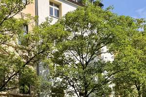 Willkommen Zuhause – 3 Zimmer + Spitzboden in Düsseldorf-Pempelfort