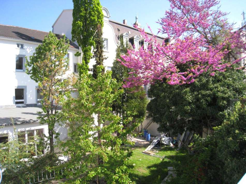 Gartenbereich