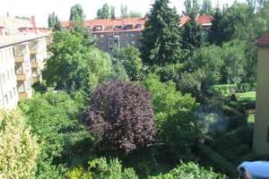 Sorglos-Investment in Berlin-Spandau: Langfristig vermietete DG-Wohnung mit Süd-Balkon – Die vollständige Adresse der Immobilie erhältst du vom Anbieter., 13583 Falkenhagener Feld, Berlin – Vorschaubild 2