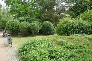 Property thumbnail 17