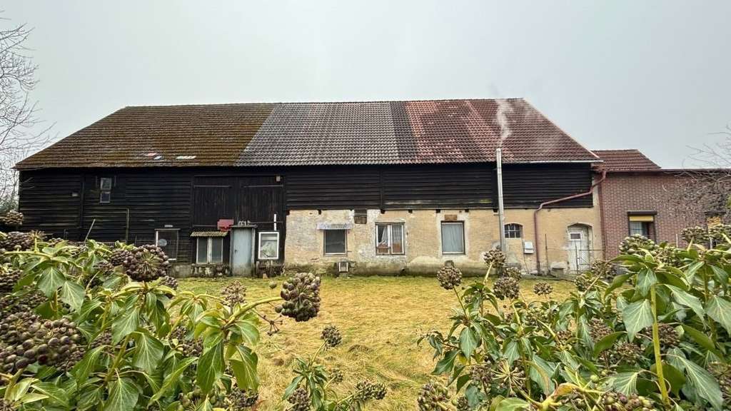 Immobilie in Grimmen - Haus, Hof & viel Nebengelass - Bild 2