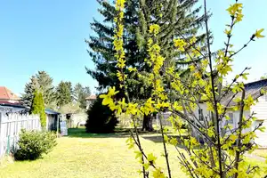 Your Future Home Awaits in Beautiful Bohnsdorf – Berlin – Vorschaubild 3
