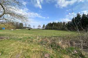 Wohnen auf einer Ebene – naturnah, solide, vielseitig nutzbar – Nordfriesland (Kreis) – Vorschaubild 3