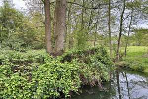 Kleines Juwel am Fließ – Oberspreewald-Lausitz (Kreis) – Vorschaubild 8