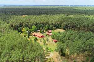Wohnen im Einklang mit der Natur - Gemütlicher Wohnbungalow in Alleinlage – Teltow-Fläming (Kreis) – Vorschaubild 34