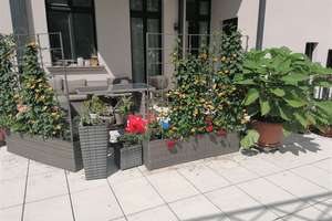 WOHNEN IM ZENTRUM - Tolle 3 Zi. Whg. inkl. EBK | 2 Bäder | Parkett | Terrasse | TG-Stellplatz  – Löhrstraße 8, 4105 Zentrum-Nord, Leipzig – Vorschaubild 1