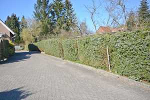 Gepflegter und bequemer Winkelbungalow + Doppelgarage in zentraler Lage – Ostholstein (Kreis) – Vorschaubild 28