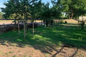 Pferdeimmobilie im Wendland-Neuwertiges Wohnhaus, Reithalle, Stallungen & ca. 3 ha Land in Prezelle – Die vollständige Adresse der Immobilie erhältst du vom Anbieter., 29491 Prezelle – Vorschaubild 19