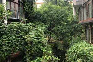 Zu Verkaufen! Bezugsfreie 2-Zimmer-Wohnung mit Terrasse direkt am Preußenpark in Wilmersdorf! – Pommersche Straße 11, 10707 Wilmersdorf, Berlin – Vorschaubild 23
