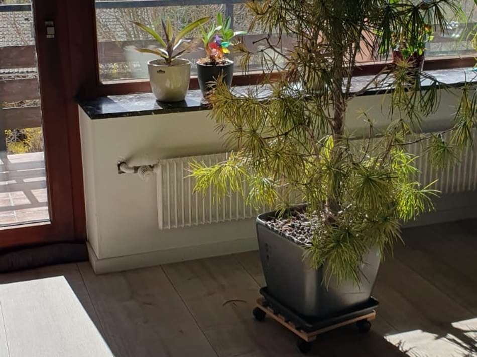 Ausgang Balkon