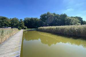 #RESERVIERT# komfortables Wochenendhaus am Malchiner See (ca. 300 m) – Die vollständige Adresse der Immobilie erhältst du vom Anbieter., 17139 Basedow – Vorschaubild 11