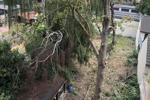 Klever Straße 21, 47059 Duisburg – Klever Straße 21, 47059 Neuenkamp, Duisburg – Vorschaubild 5