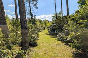 Großes Grundstück in himmlischer Ruhe | Idyllisches Wochenendhaus in der Dübener Heide – Die vollständige Adresse der Immobilie erhältst du vom Anbieter., 4849 Bad Düben – Vorschaubild 10