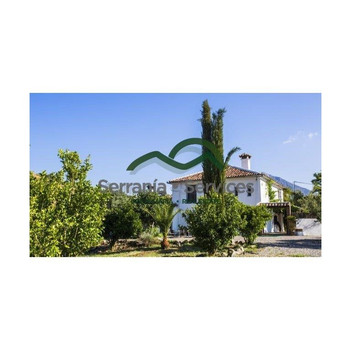 Landhaus, Swimmingpool, 3 Hektar, 5 Schlafzimmer, 5 Badezimmer, Grazalema