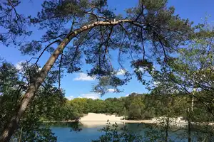 Wochenendhaus am See / Waldlage / Erholung Pur /
Seltene Gelegenheit – Ammerland (Kreis) – Vorschaubild 5