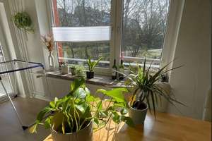 Helle 2,5-Zimmer Hochparterre-Wohnung in Kiel-Wik mit Balkon – Die vollständige Adresse der Immobilie erhältst du vom Anbieter., 24106 Wik, Kiel – Vorschaubild 11