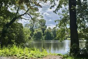 Property thumbnail 17