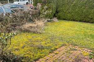 DHH im Landhausstil, Garten, 2 Pkw-Abstellplätze, in schöner Wohnl. v. 64367 Mühltal-OT Nd.-Beerbach – Darmstadt-Dieburg (Kreis) – Vorschaubild 4
