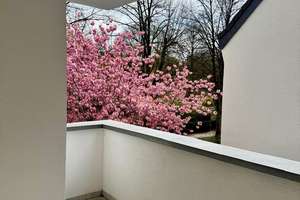 Wohnen in einem der schönsten Wohnquatiere Essens mit Blick auf den Haumannplatz – Die vollständige Adresse der Immobilie erhältst du vom Anbieter., 45147 Holsterhausen, Essen – Vorschaubild 2