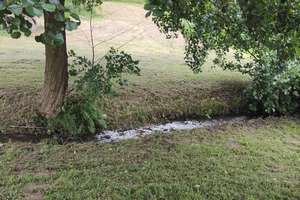 Schöner Wohnen am Teutoburger Wald mit Bachlauf! – Die vollständige Adresse der Immobilie erhältst du vom Anbieter., 32816 Schieder-Schwalenberg – Vorschaubild 11