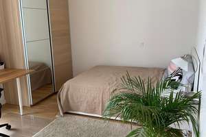 Studio Apartment in Berlin Mitte – Mollstraße 3b, 10178 Mitte (Ortsteil), Berlin – Vorschaubild 2