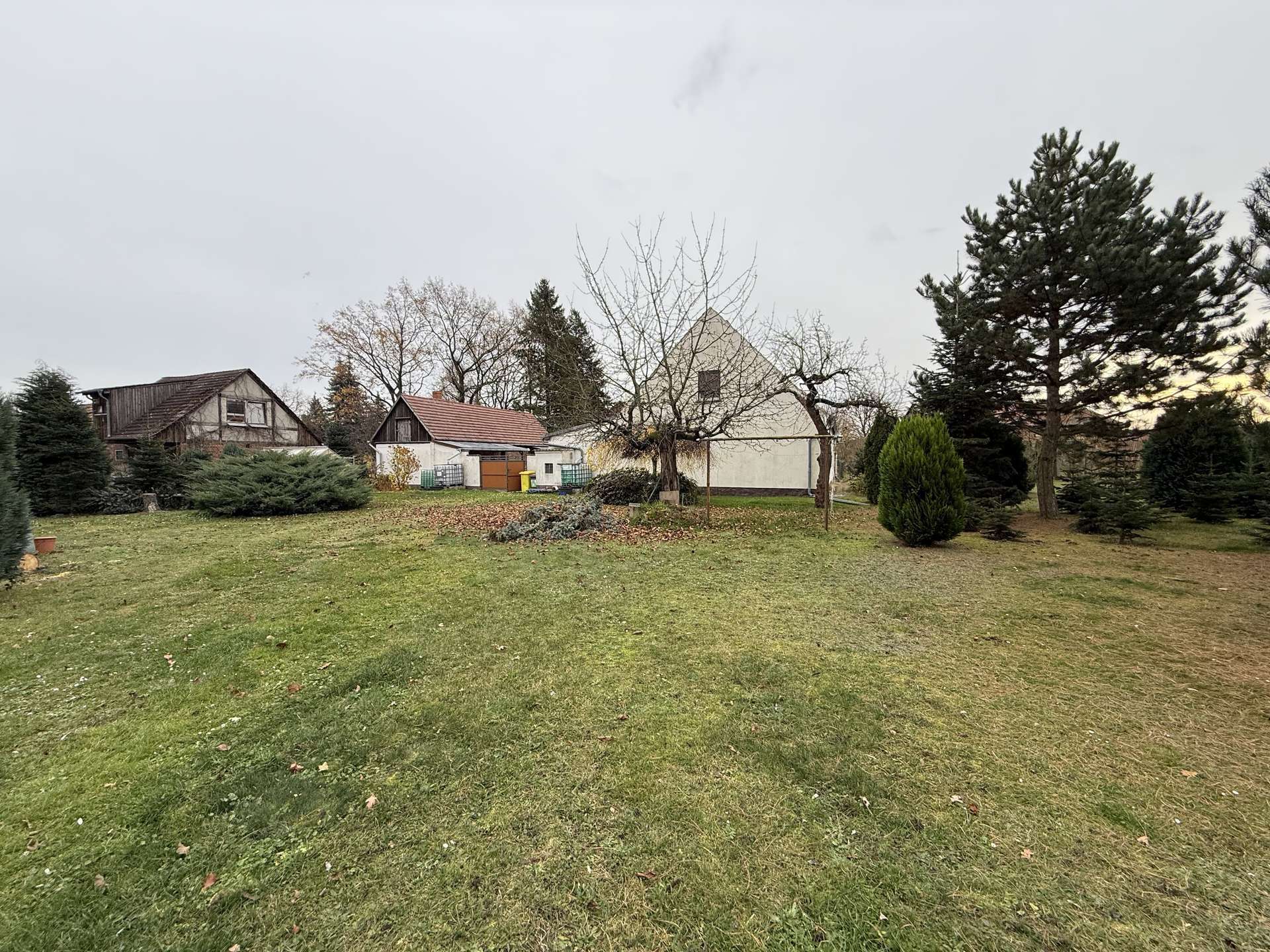 Einfamilienhaus mit Nebengelass auf großem Grundstück nahe Spreewald, Dahme Spreewald Kreis – Bild 3