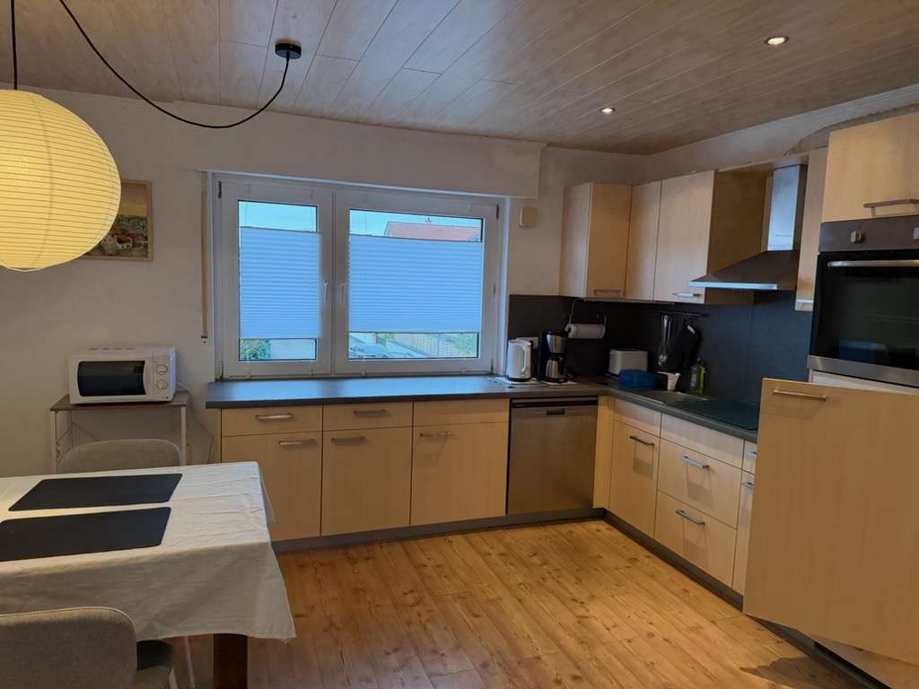 Immobilie in Biebesheim - Zweifamilienhaus in solider Bausubstanz mit großem Grundstück - Bild 7