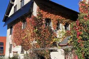 Seminarhaus mit traumhaften Belchenblick: 2-Familienhaus mit grossem Garten in Elbenschwand – Elbenschwander Ortsstraße 9, 79692 Lörrach (Kreis) – Vorschaubild 77