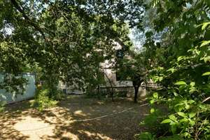 Großes Grundstück & ruhige Lage – Familienhaus mit Potenzial – Storchenneststr. 15, 1259 Kleinzschachwitz, Dresden – Vorschaubild 4