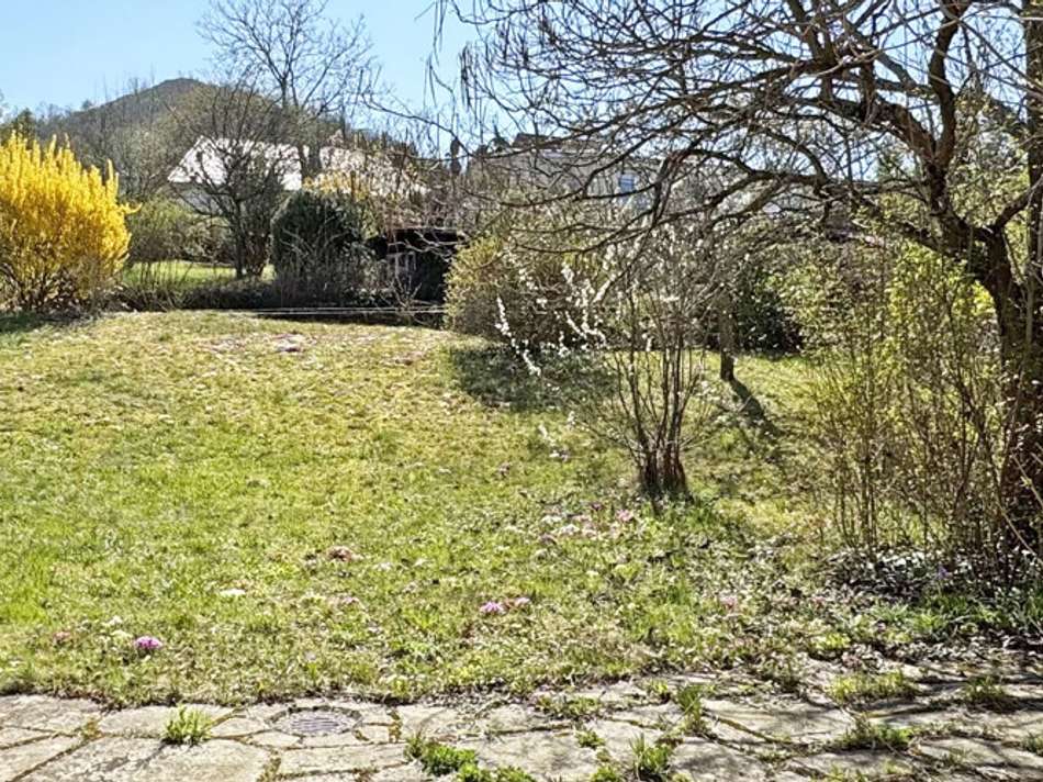 Garten mit Georgenberg-Blick