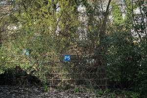 Luftige Maisonette in Wuppertal-Elberfeld – Die vollständige Adresse der Immobilie erhältst du vom Anbieter., 42109 Uellendahl-Katernberg, Wuppertal – Vorschaubild 39