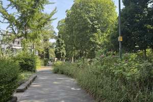 28.07. 20 Uhr offene Besichtigung  mitten im Grün Luxus Lage am Ostpark und Wald – Wittelsbachstraße 41, 40629 Grafenberg, Düsseldorf – Vorschaubild 10