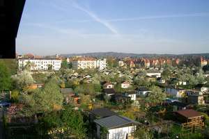 NEU - Ein Nest im Grünen und das mitten in der Stadt