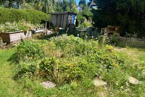 Platz zum Leben, Spielen und Gärtnern: Sonniges Einfamilienhaus mit 6 Zimmern und Feldbergblick – Feldbergstraße 76, 61389 Schmitten – Vorschaubild 16
