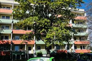 2 Raum Wohnung mit großem Balkon – Milchweg 24, 39128 Neustädter Feld, Magdeburg – Vorschaubild 1