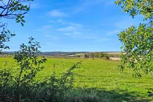 3,5 ha Land mit Jagdhütte -  in der Nähe der beiden Saaletalsperren (A1619)
 – Die vollständige Adresse der Immobilie erhältst du vom Anbieter., 7368 Remptendorf – Vorschaubild 12