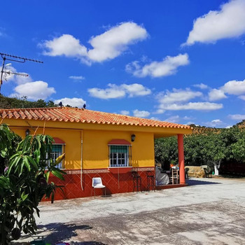 Immobilien zum Verkauf in Benamocarra