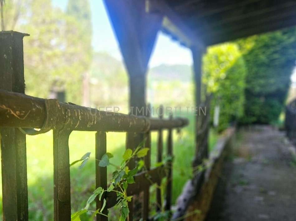 Eingangsbereich Garten