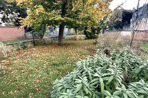 Schickes und bezahlbares Einfamilienhaus in 52349 Düren mit Garten – Die vollständige Adresse der Immobilie erhältst du vom Anbieter., 52349 Nord-Düren, Düren – Vorschaubild 34