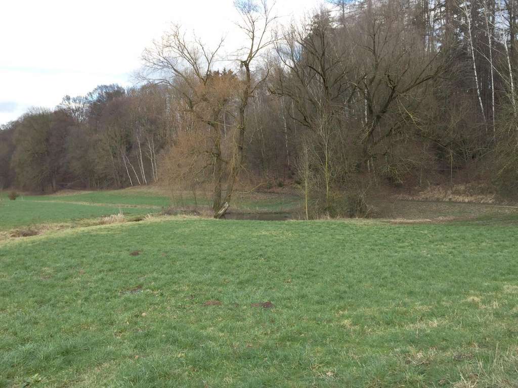 Immobilie in Adlkofen - Grundstück mit Altbestand + Weiher/Wiese + großer Waldanteil - Birnkofen (Adlkofen) - Bild 1
